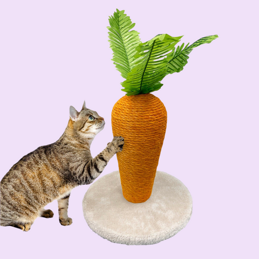 Carrot Cat Scratcher