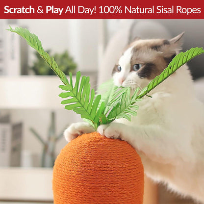 Carrot Cat Scratcher