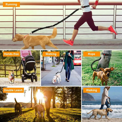 Pet Products Pet Traction Rope Multifunctional