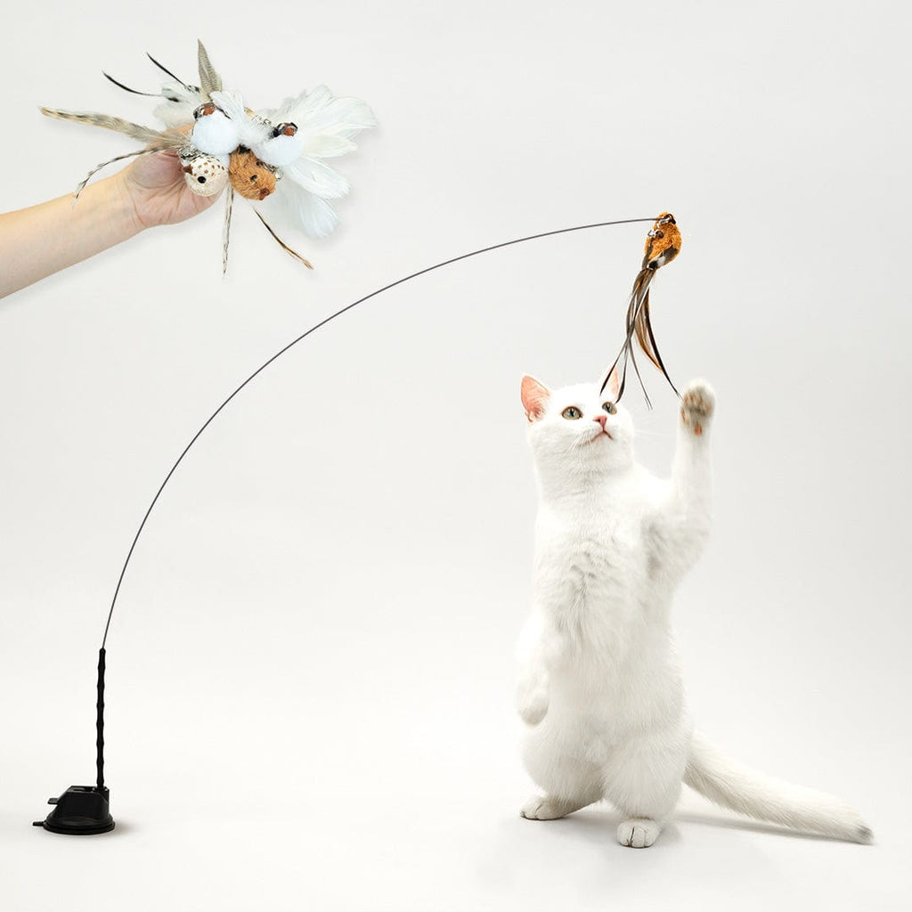 Interactive Bird Simulation Cat Toy Set